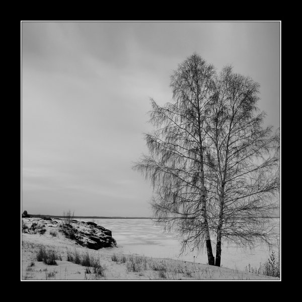 Зимний пейзаж черно белый