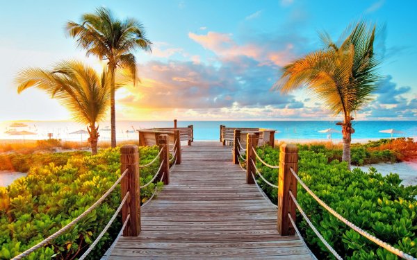 Парадиз остров Карибского моря