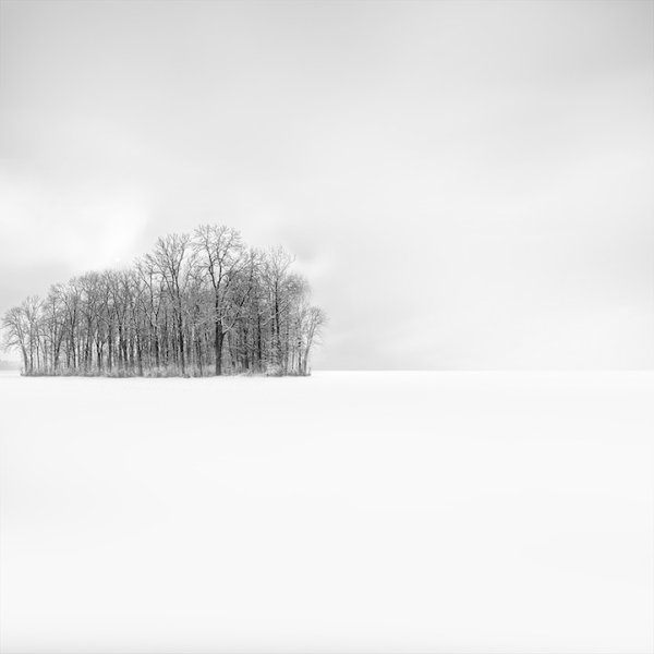 Зимний пейзаж черно белый