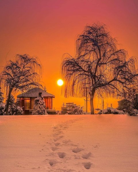 Спокойной ночи ранняя Весна