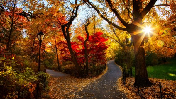 Природа осень