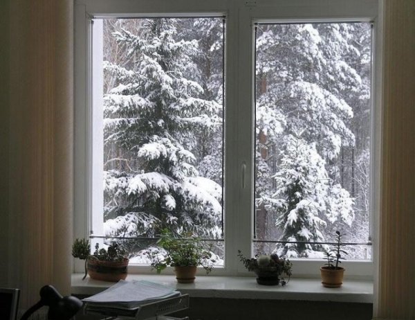 Картины Чепелевой Марии кошки