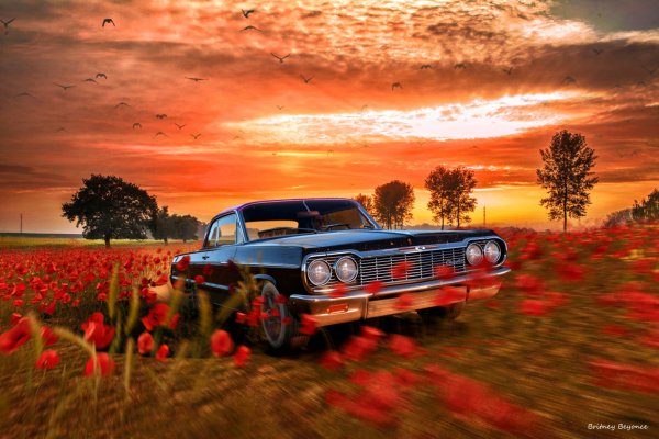 Пейзаж с машиной