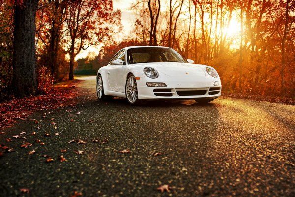Porsche 911 autumn