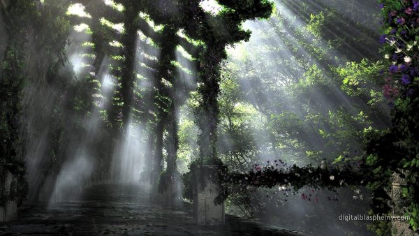 Летний дождь в лесу