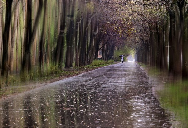 Эдуард Гордеев (Eduard Gordeev)
