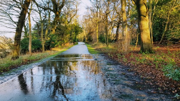 Радуга в тумане