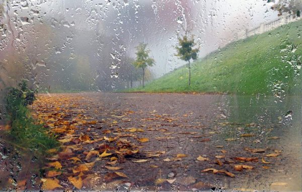 Дерево над водой