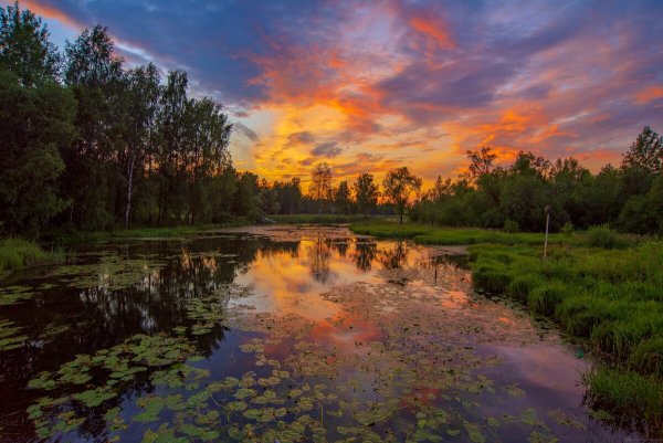 Парк зверинец в Гатчине
