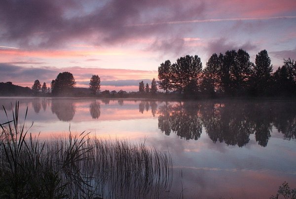 Вечерний пейзаж на озере