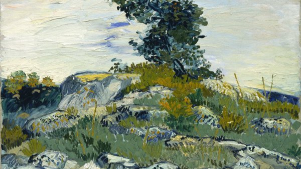 Ван Гог зима