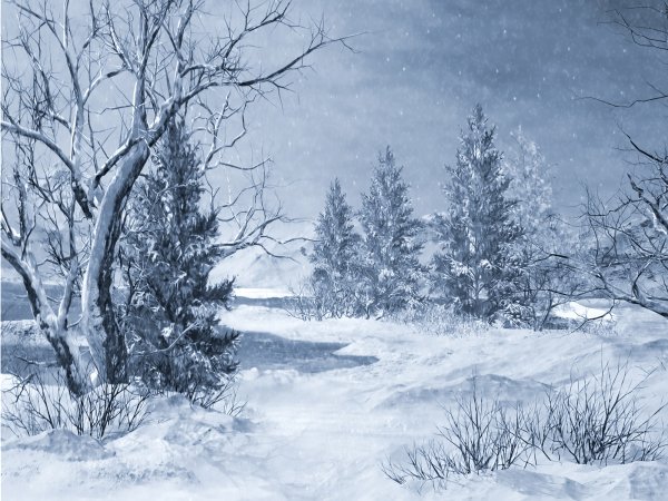 Рисуем зимний лес