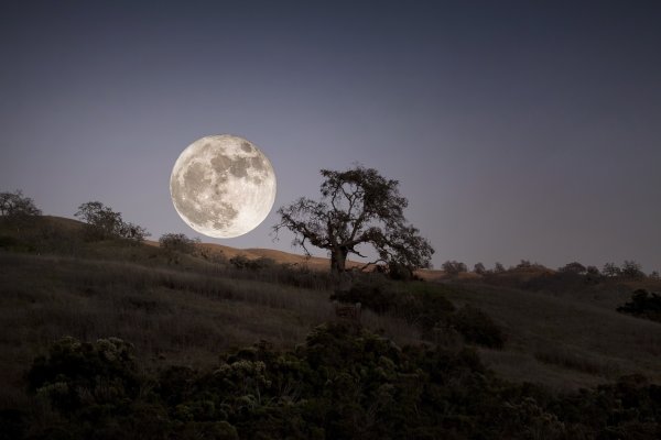 Ночной пейзаж