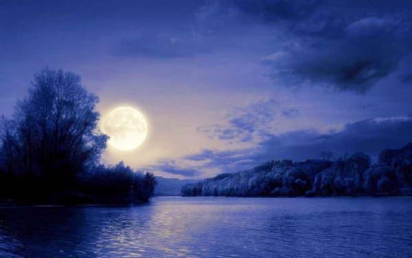 Летняя ночь пейзаж