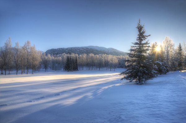 Зимний пейзаж