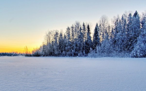 Зимний пейзаж