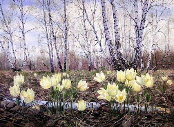 Грабарь подснежники