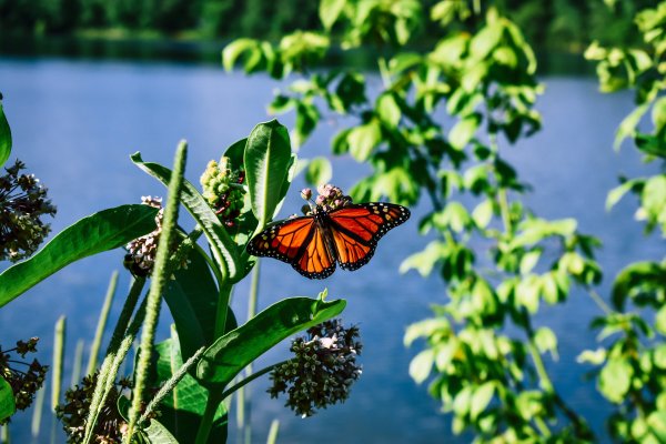 Красивая природа