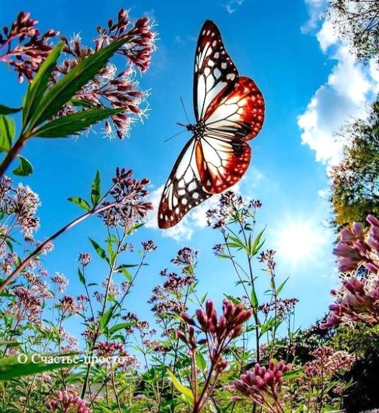 Пейзаж с бабочками