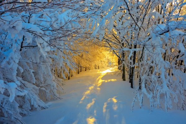 Снежная зима