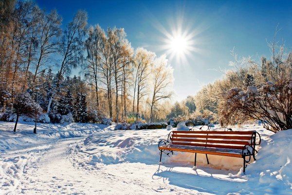 Зима солнце
