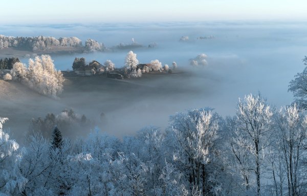 Туманное зимнее утро