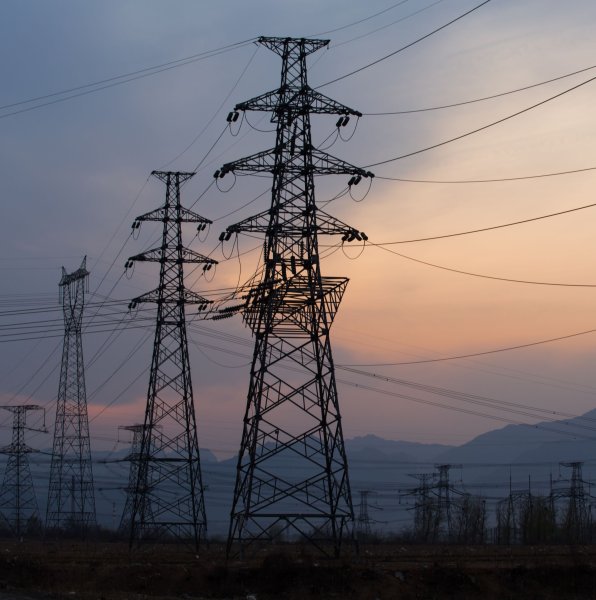 Электрические столбы в лесу