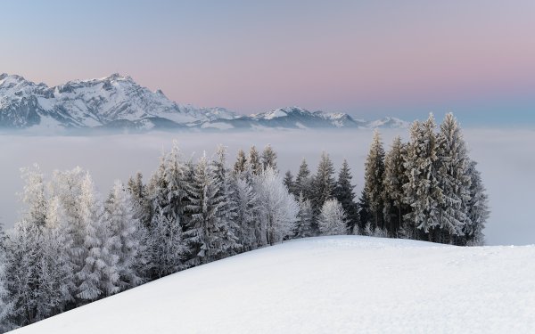 Зимний пейзаж горы