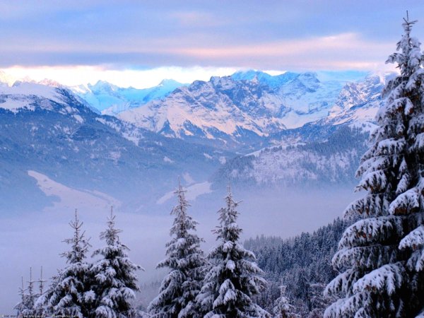 Зима лес горы