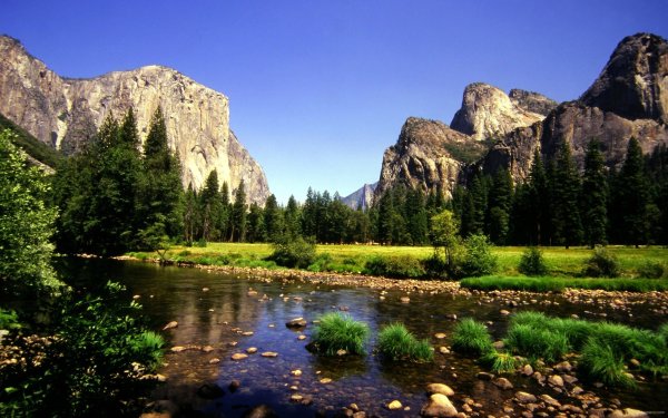 Национальный парк Олимпик Луга горы цветы Поляна
