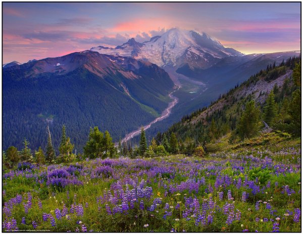 Яркая природа