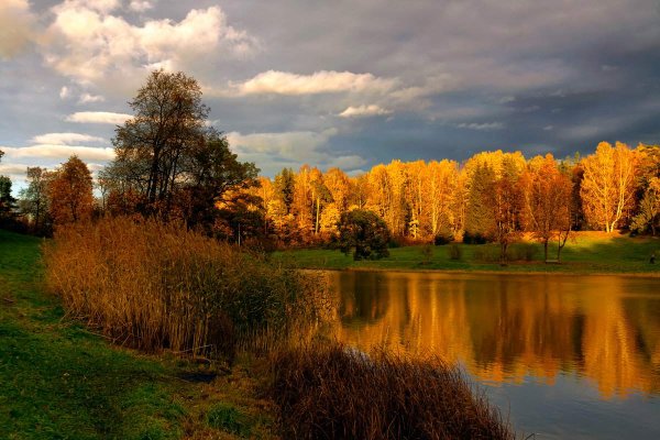 Осенний пейзаж в Павловском парке