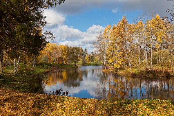 Сентябрь в Подмосковье природа