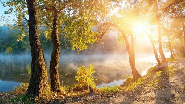 Осенний рассвет