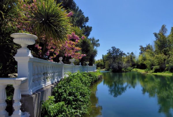 Сочинский Дендрарий весной