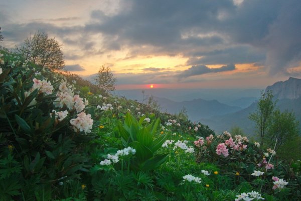 Красивые пейзажи Сочи