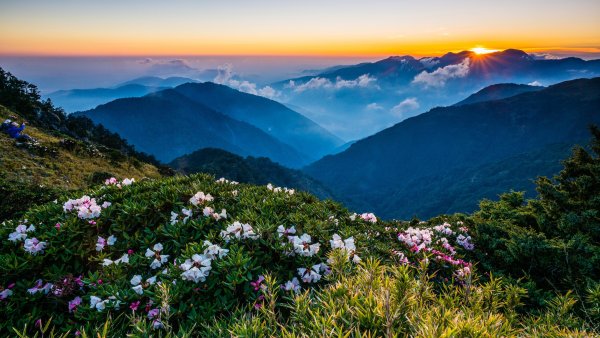 Красная Поляна Сочи природа