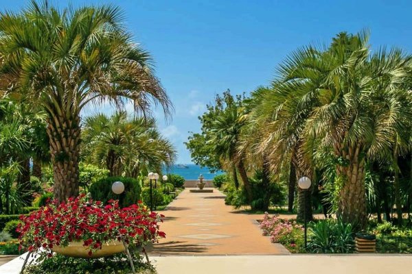 Сочи пальмы Имеретинка