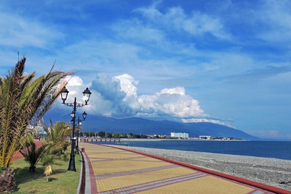 Пальмы Имеретинский курорт