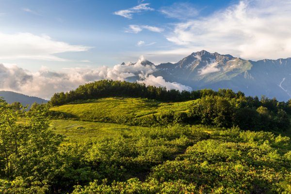 Краснодарский край Кубань горы
