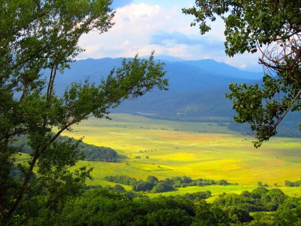 Краснодарский край Прикубанская низменность