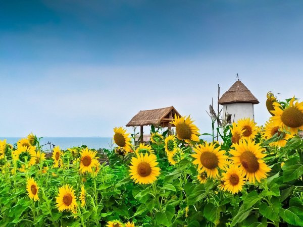 Адыгея Майкоп горы