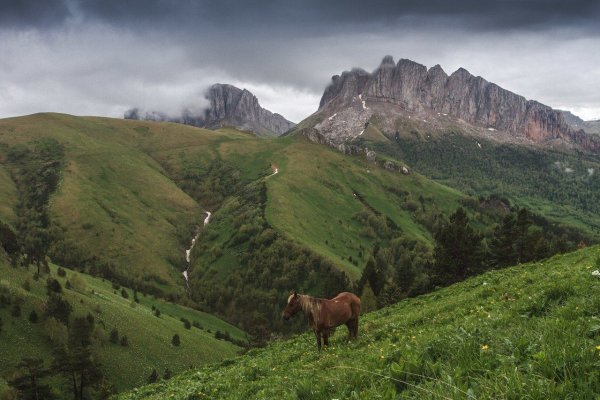 Альпийские Луга Адыгея