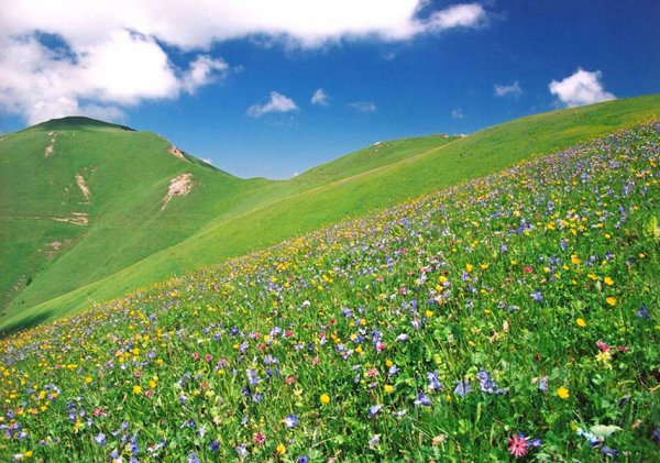 Рожкао Карачаево Черкесия