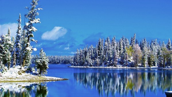 Снежный пейзаж