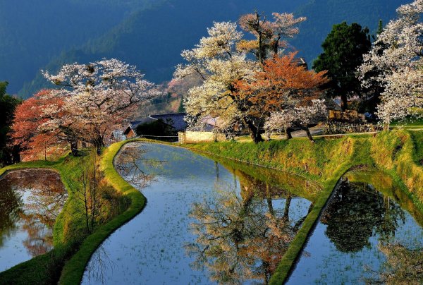 Японский природный пейзаж