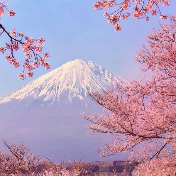 Киото гора Фудзияма