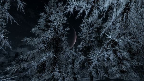 Морозные узоры