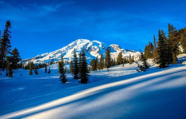 Красивая зима