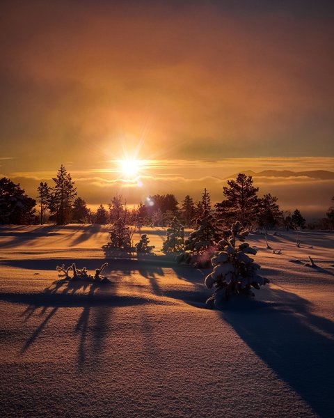 Ночное зимнее небо река